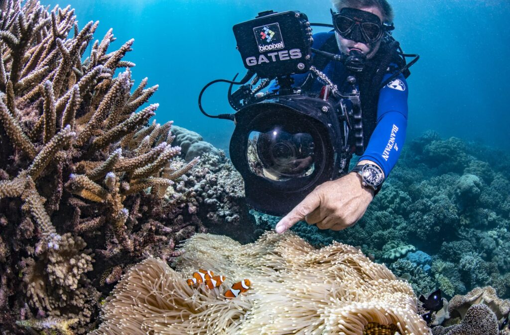 Documentarista subacqueo per il blancpain ocean commitment